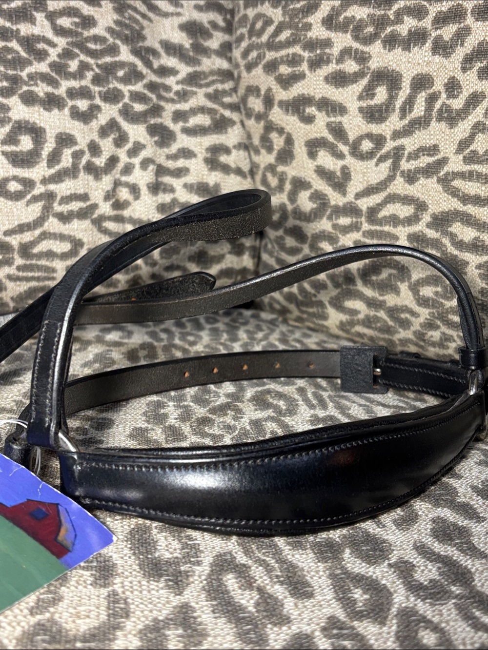NWT Vespucci drop noseband Full size dressage bridle parts